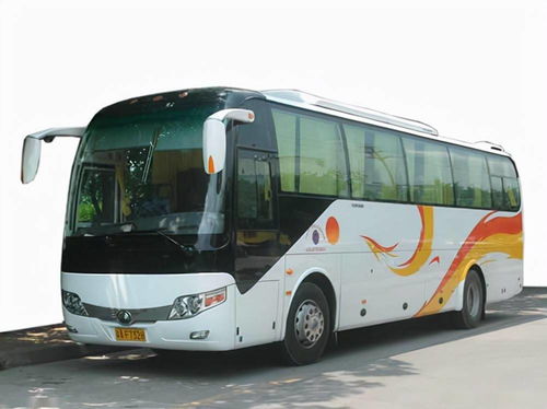 國慶租車首選泰州中航租車，專業(yè)服務(wù)助力便捷出行